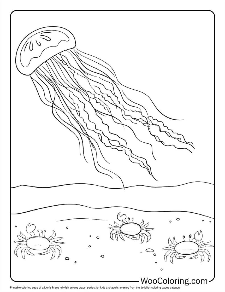 100  Jellyfish coloring pages  Free PDF To Print  - 57