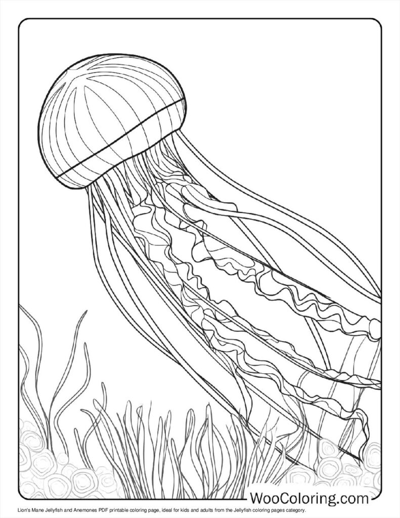 100  Jellyfish coloring pages  Free PDF To Print  - 75