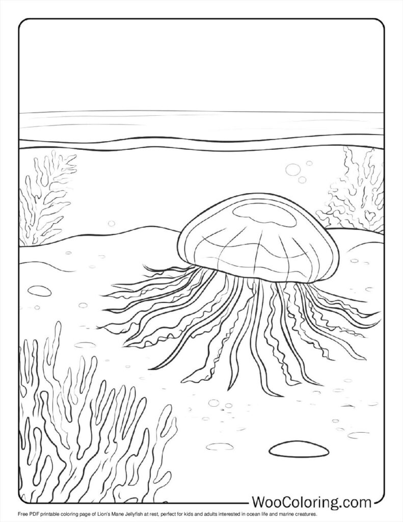 100  Jellyfish coloring pages  Free PDF To Print  - 48