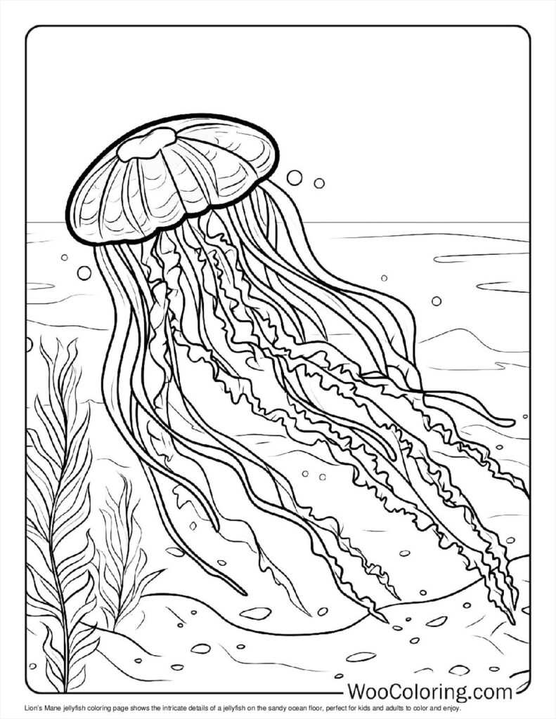 100  Jellyfish coloring pages  Free PDF To Print  - 52