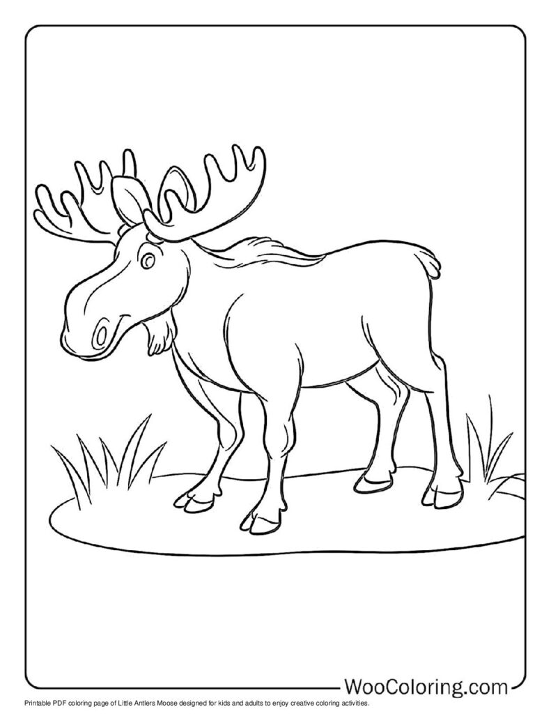 100  Moose coloring pages  Free PDF To Print  - 27