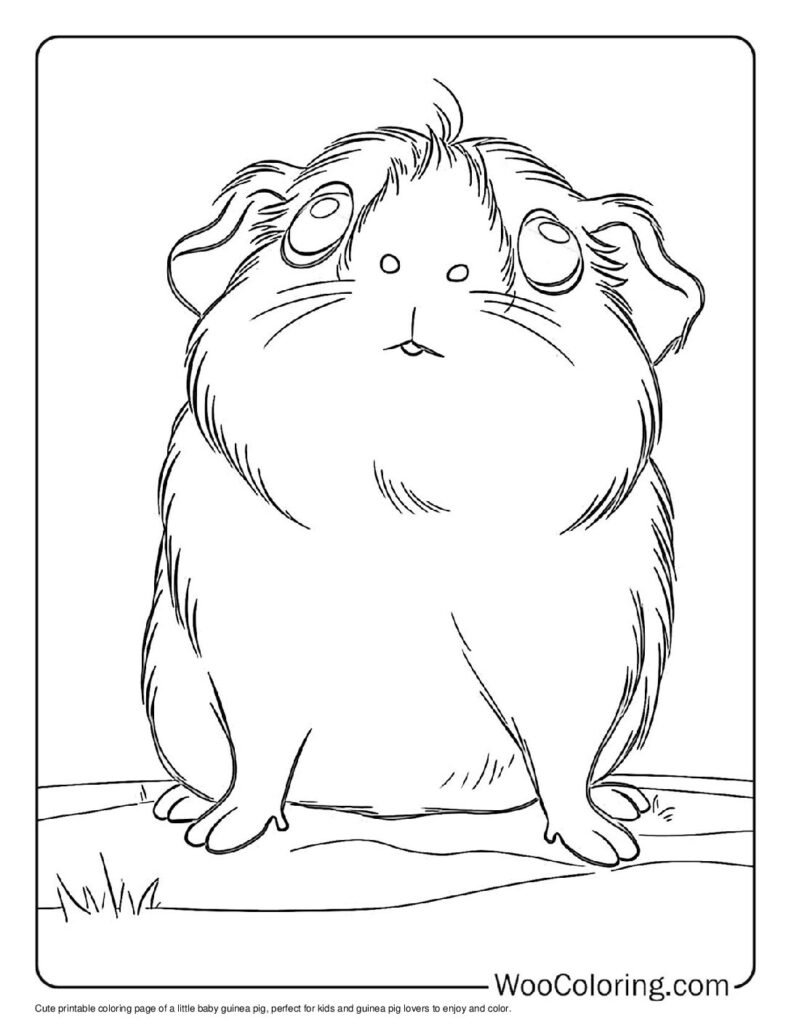 100 Guinea Pig coloring pages Free PDF To Print - 47