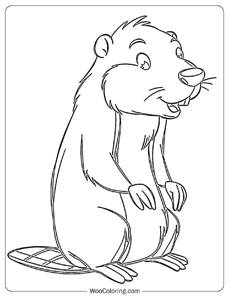 Little Beaver Friend