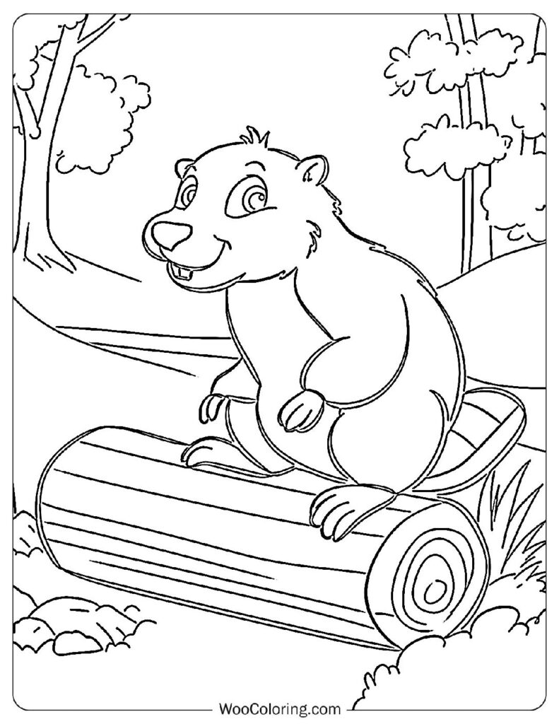 Little Beaver
