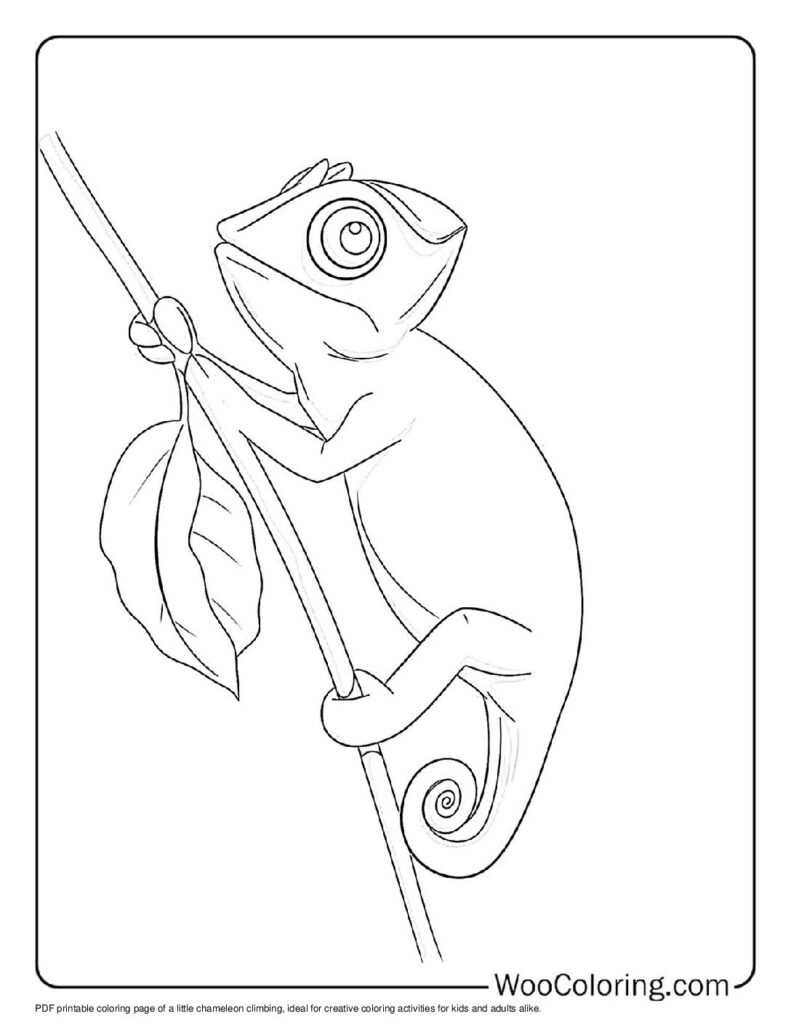 100  Chameleon coloring pages  Free PDF To Print  - 5