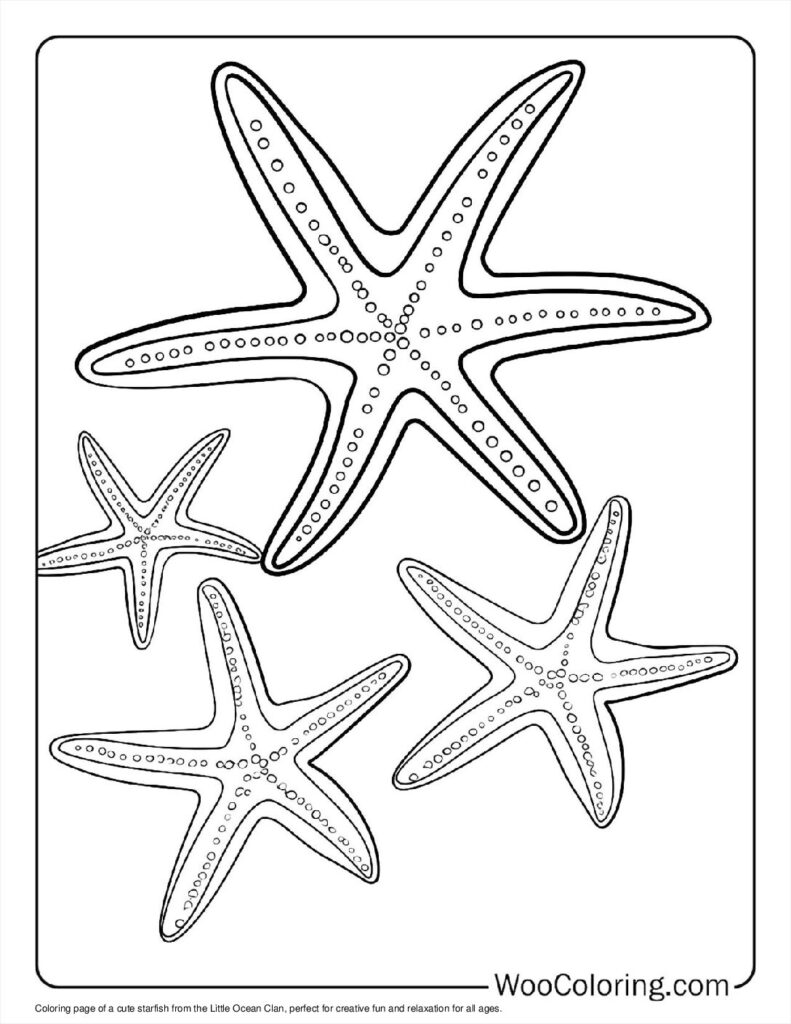 100  Starfish coloring pages  Free PDF To Print  - 74