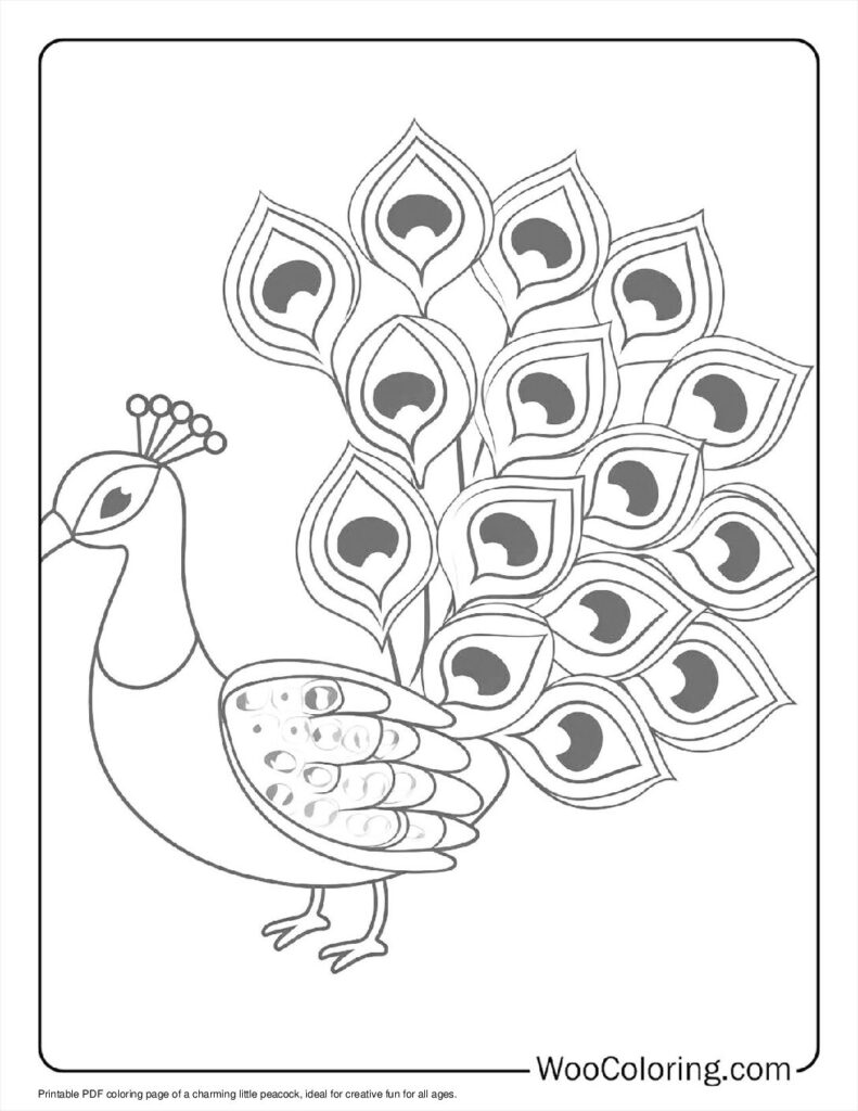 100  Peacock coloring pages  Free PDF To Print  - 30