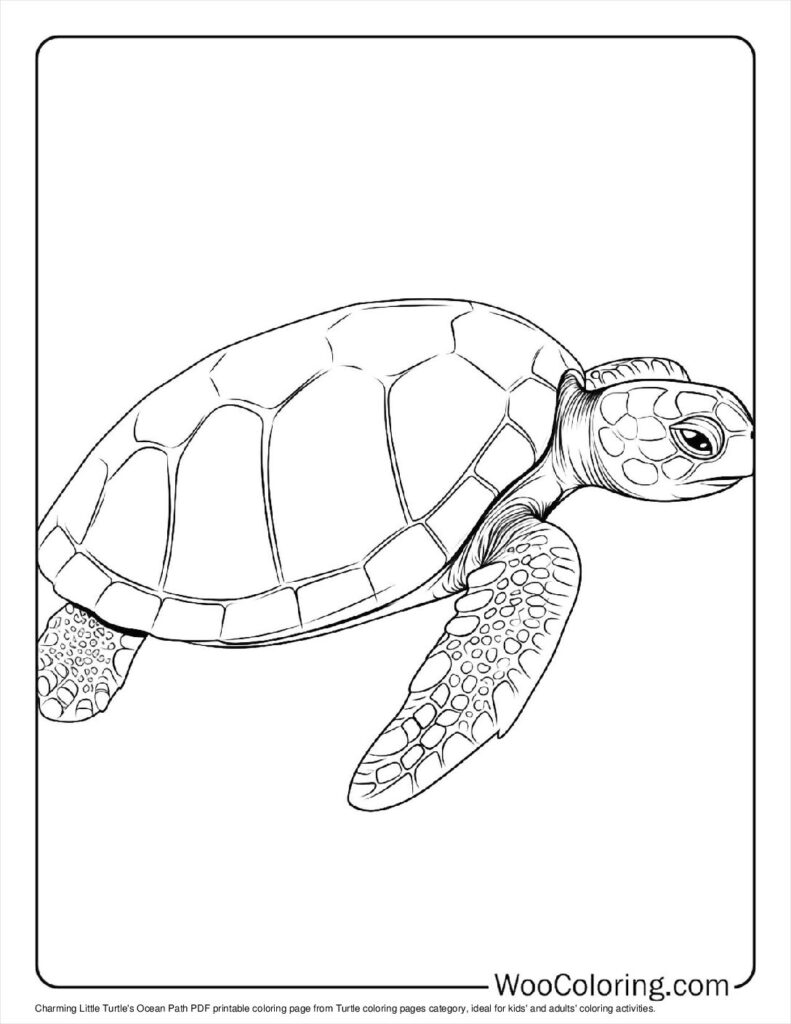 100  Turtle coloring pages  Free PDF To Print  - 51
