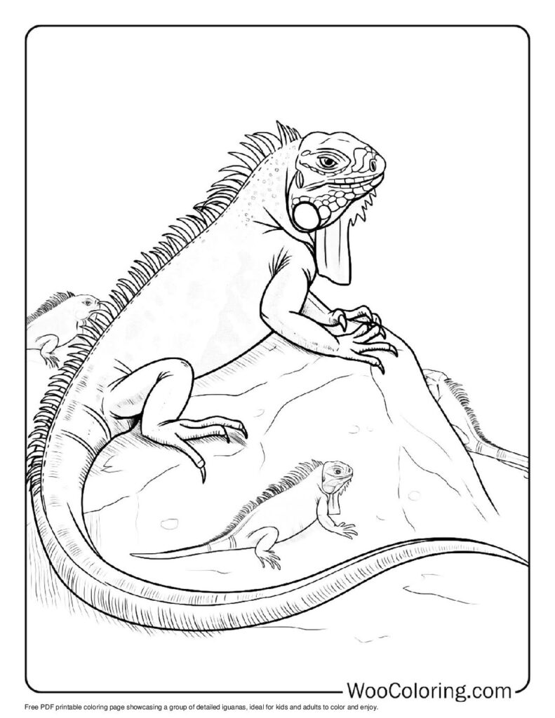 100 Iguana coloring pages Free PDF To Print - 85
