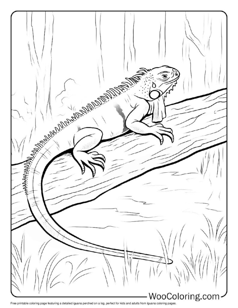 100 Iguana coloring pages Free PDF To Print - 13