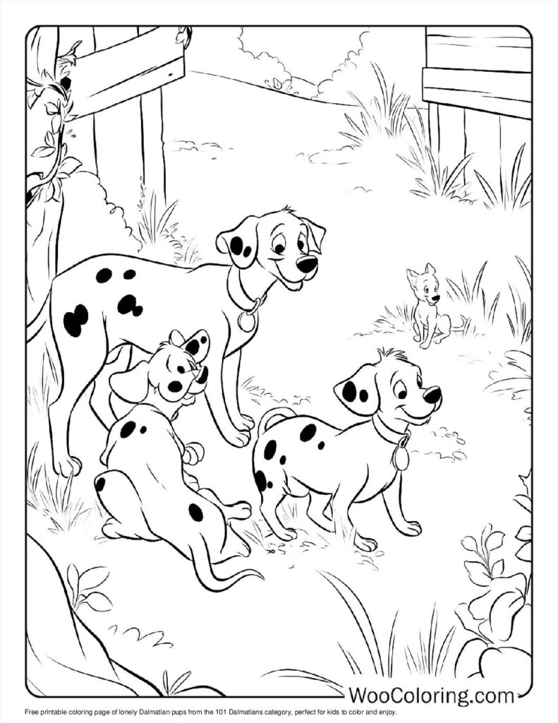 Lonely Dalmatian Pups