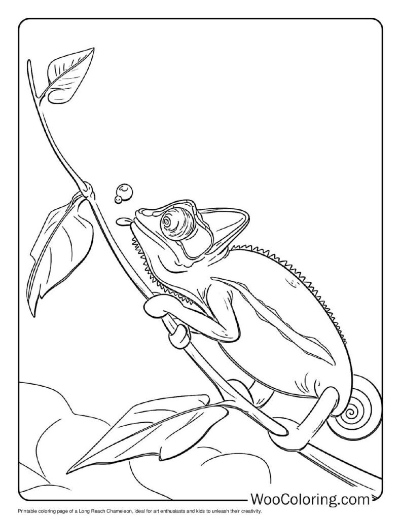 100  Chameleon coloring pages  Free PDF To Print  - 48