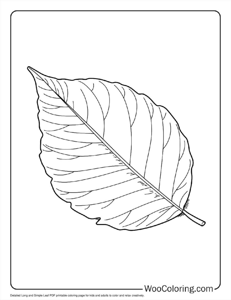 100  Leaf coloring pages  Free PDF To Print  - 45