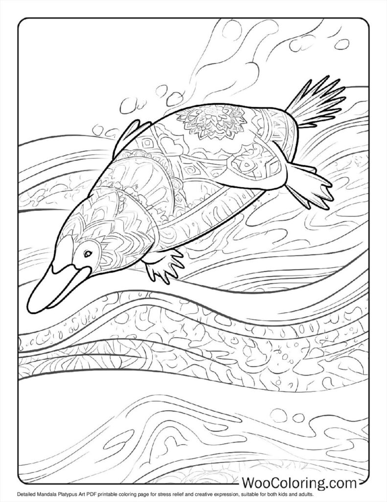 Mandala Platypus Art