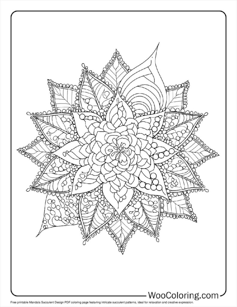 100  Succulent coloring pages  Free PDF To Print  - 81