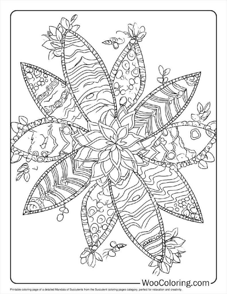 100  Succulent coloring pages  Free PDF To Print  - 80
