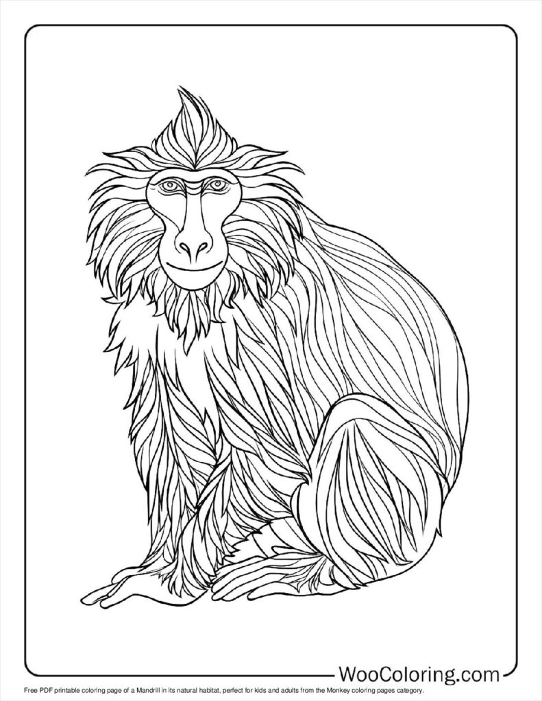 100  Monkey coloring pages  Free PDF To Print  - 46