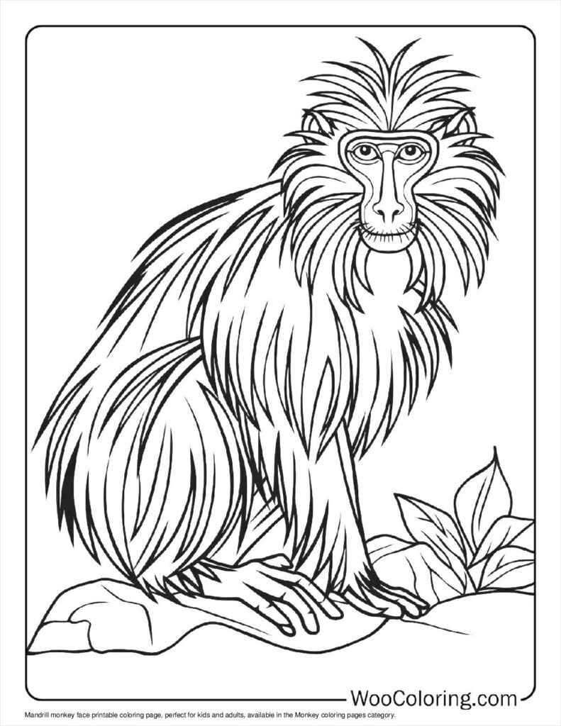 100  Monkey coloring pages  Free PDF To Print  - 28