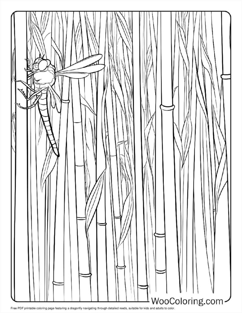 100  Dragonfly coloring pages  Free PDF To Print  - 41