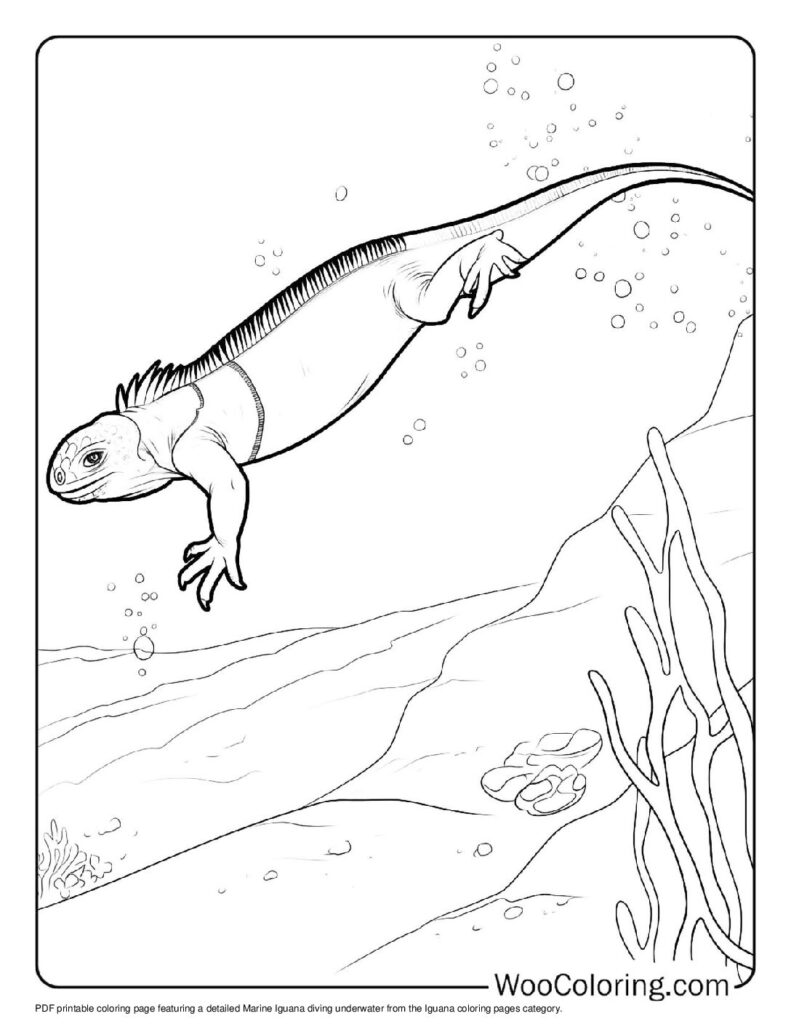 100 Iguana coloring pages Free PDF To Print - 16