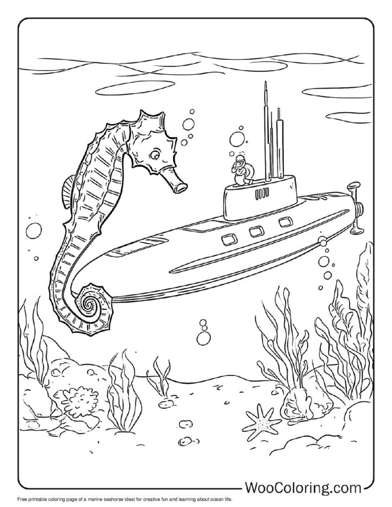 100  Seahorse coloring pages  Free PDF To Print  - 30