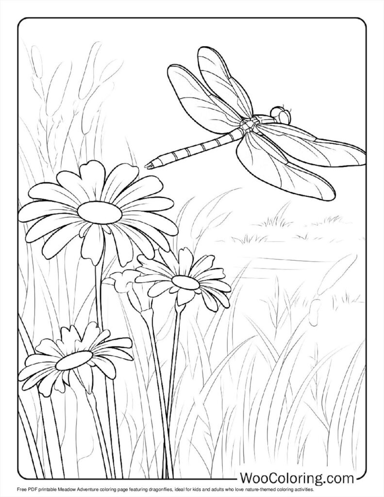 100  Dragonfly coloring pages  Free PDF To Print  - 70