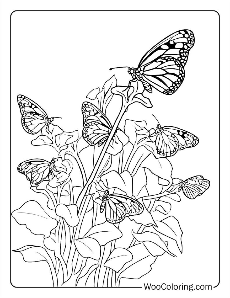 100  Butterfly coloring pages  Free PDF To Print  - 29