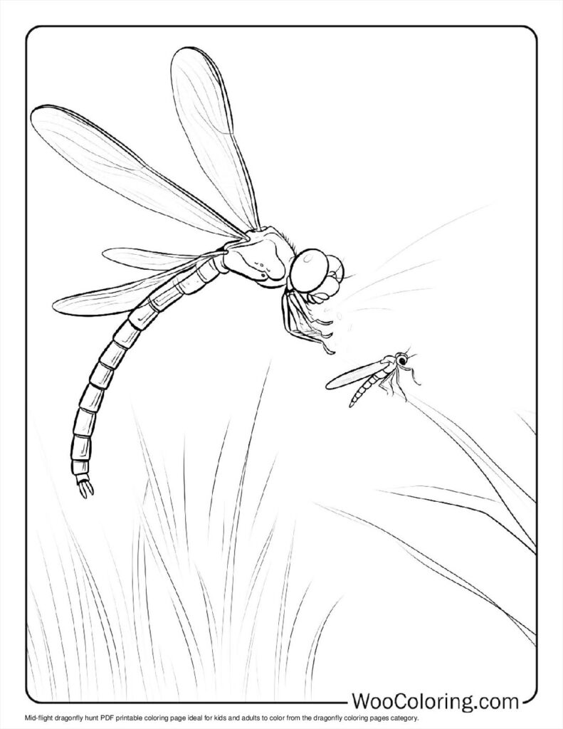 100  Dragonfly coloring pages  Free PDF To Print  - 74