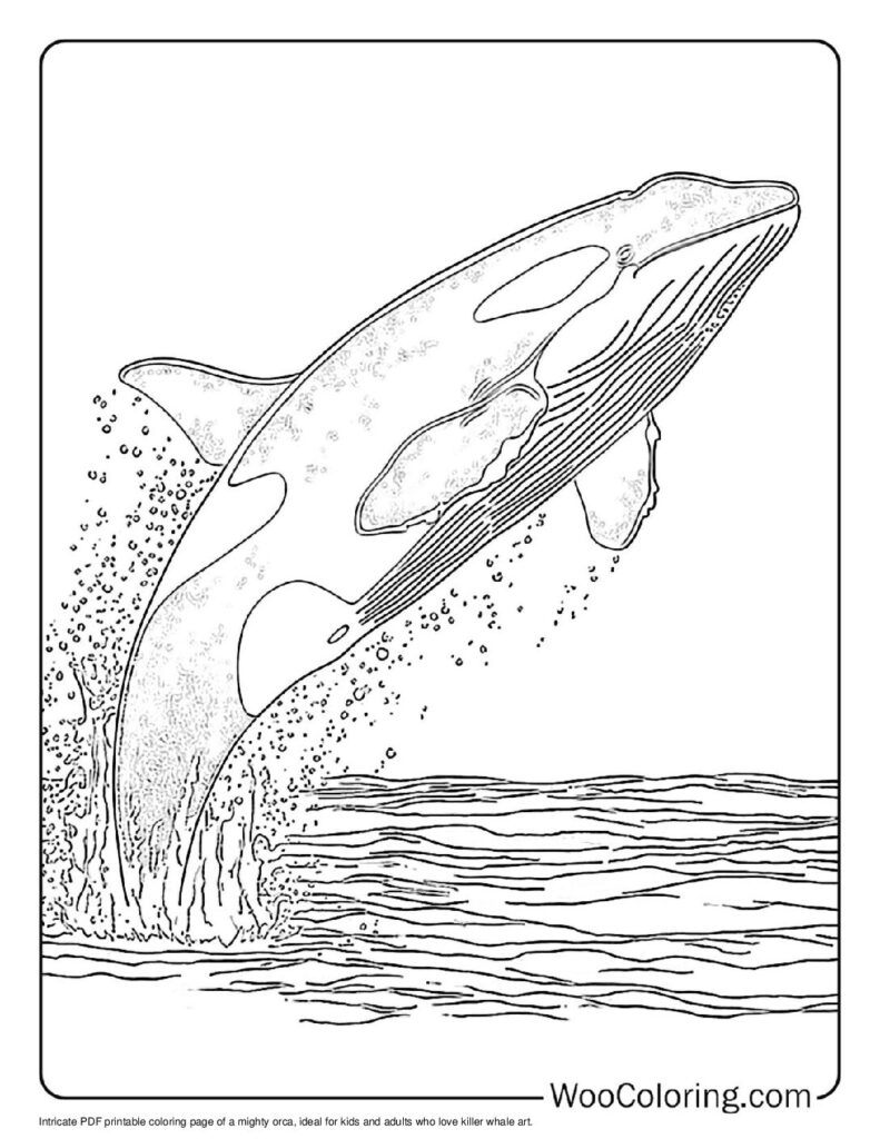100  Killer Whale coloring pages  Free PDF To Print  - 17
