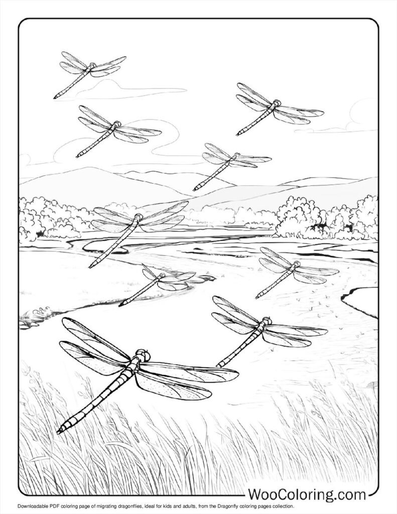 100  Dragonfly coloring pages  Free PDF To Print  - 35