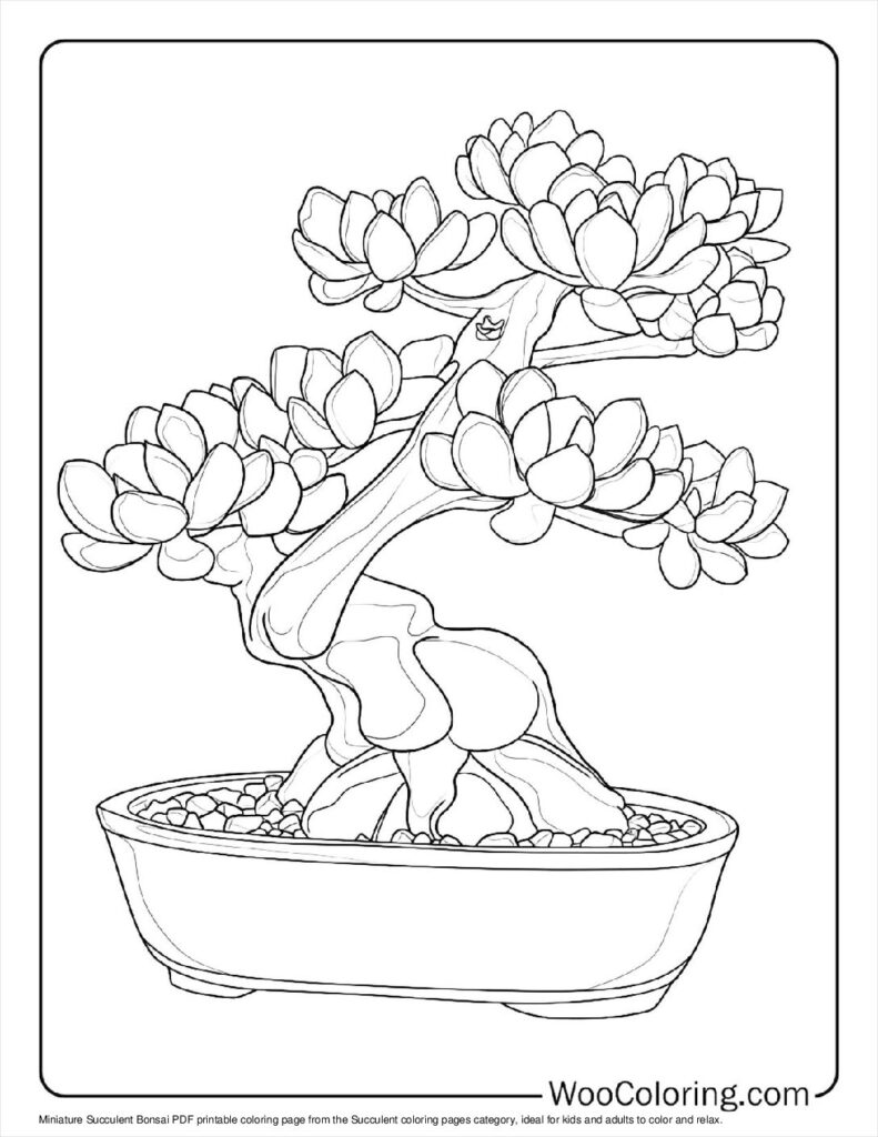 100  Succulent coloring pages  Free PDF To Print  - 81