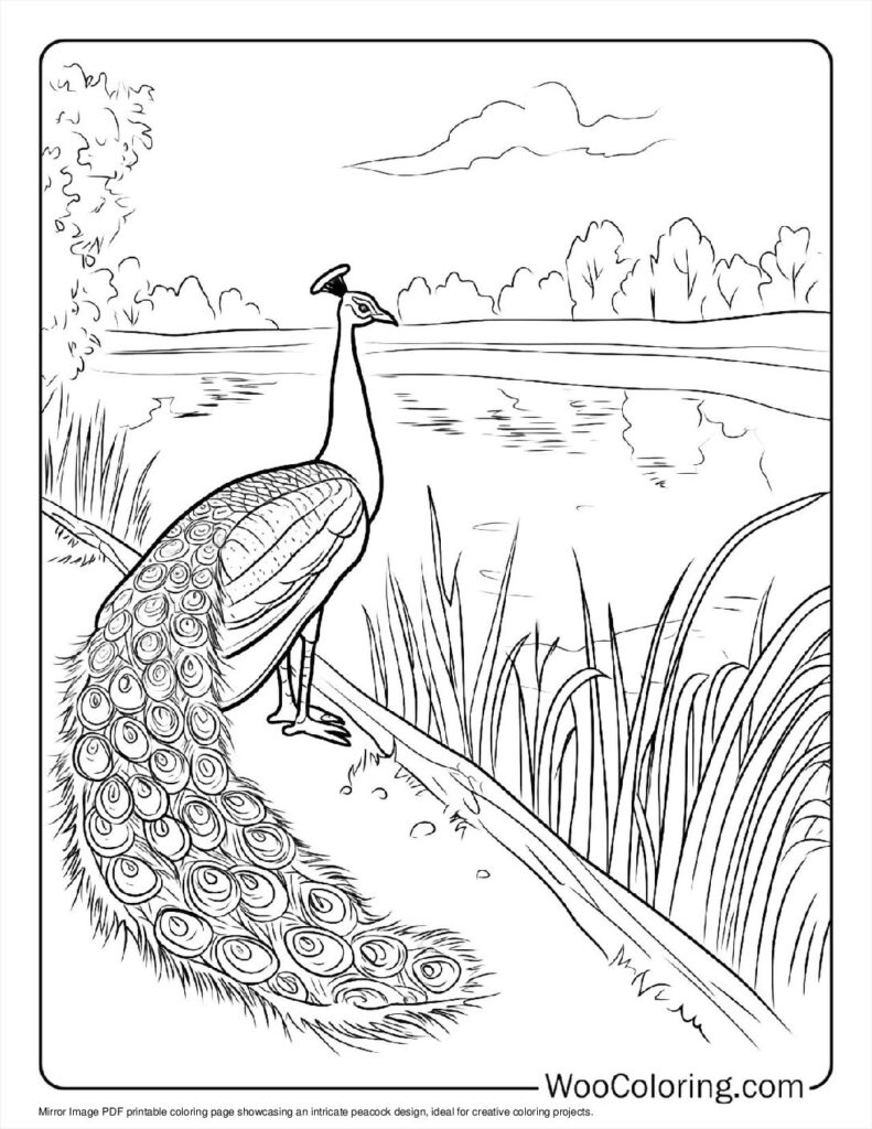 100  Peacock coloring pages  Free PDF To Print  - 35