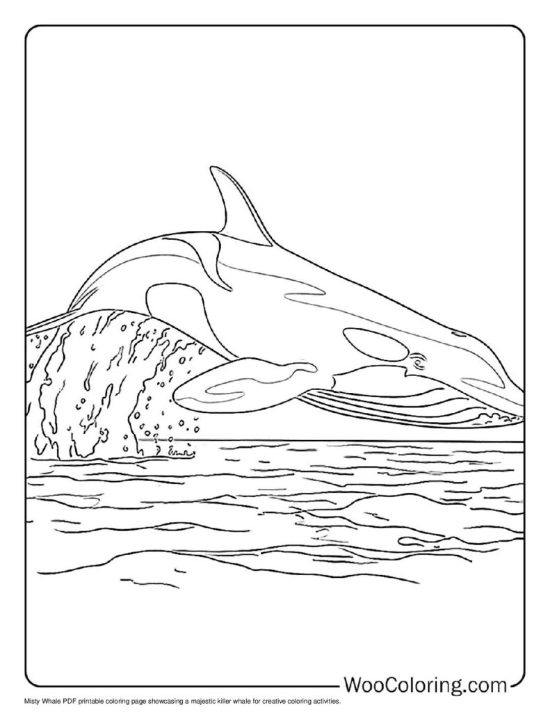 100  Killer Whale coloring pages  Free PDF To Print  - 62