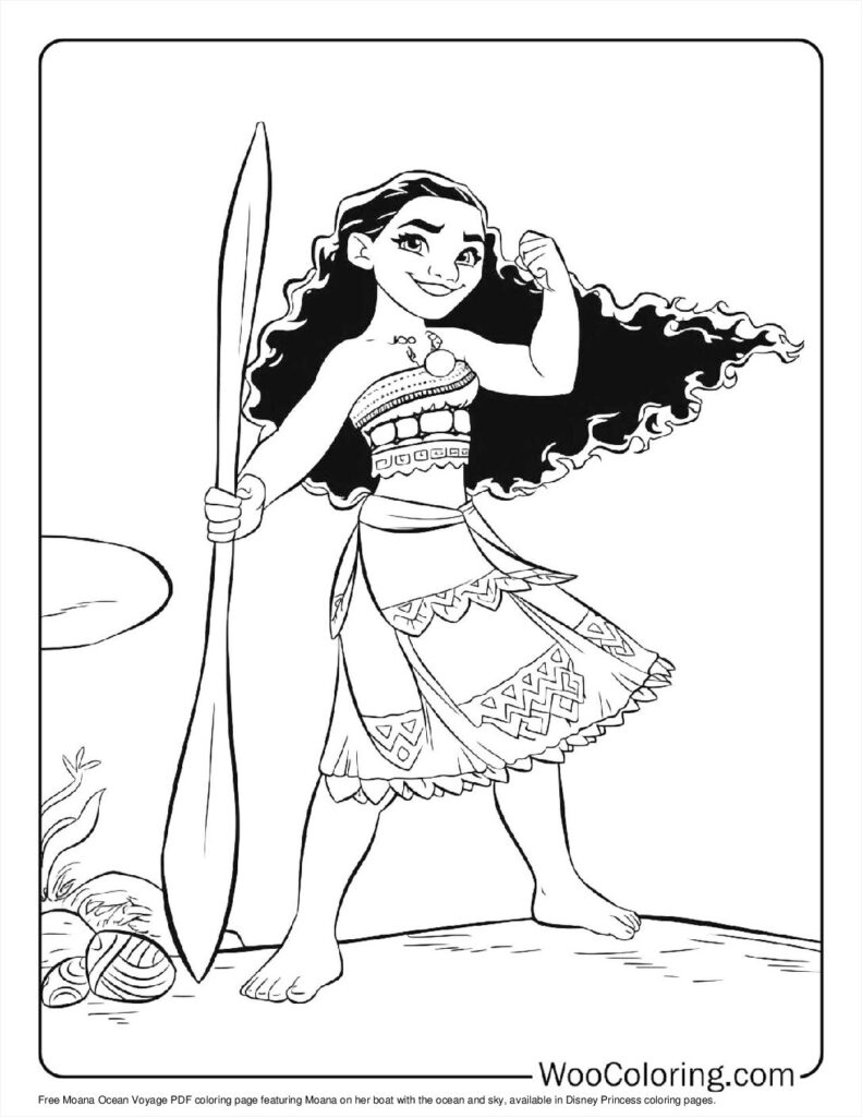 Moana's Ocean Voyage