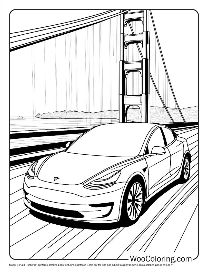 Model S on the Bay