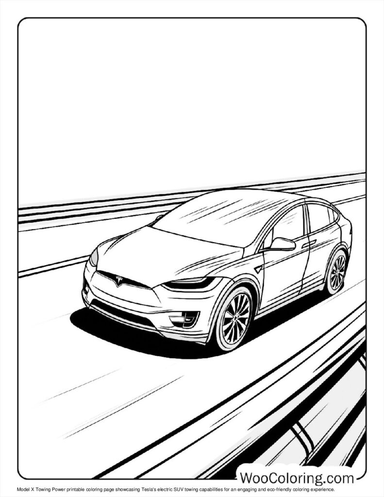 Model X on Cruise