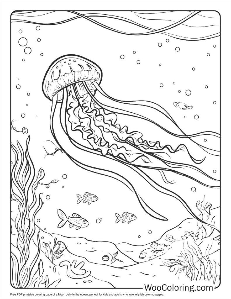 100  Jellyfish coloring pages  Free PDF To Print  - 43