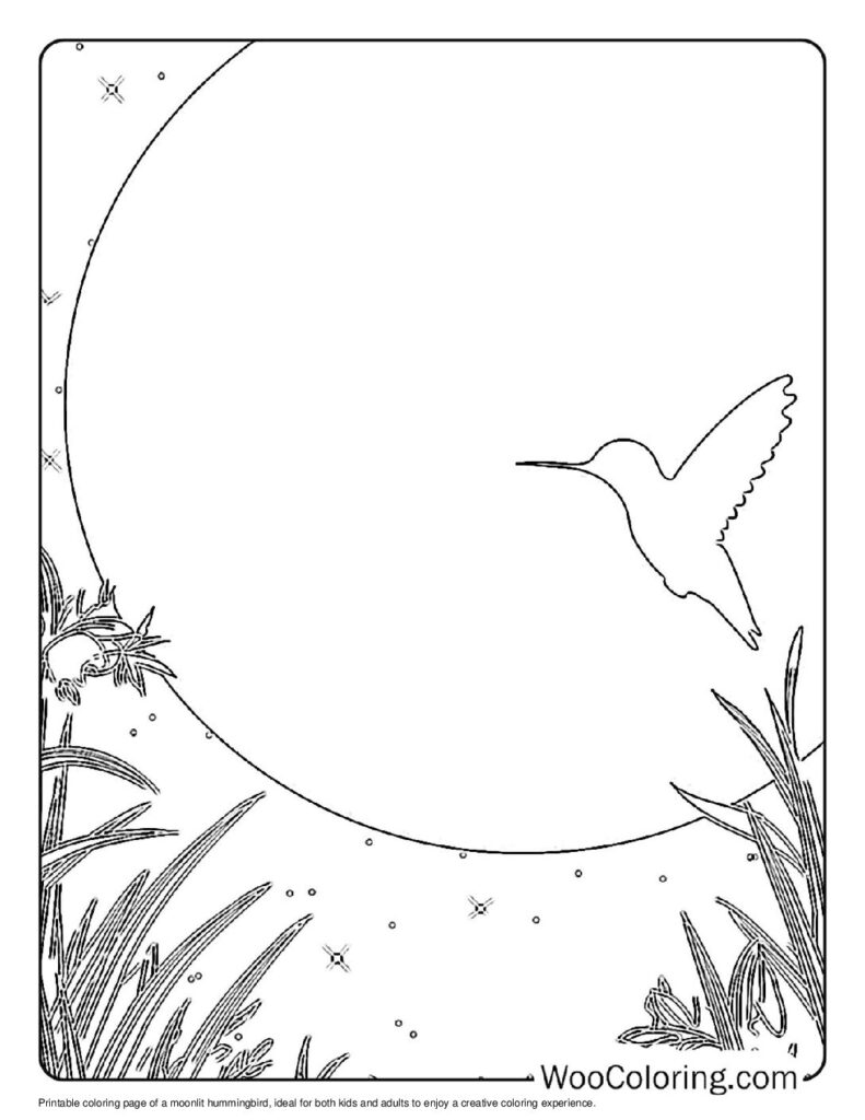 100 Hummingbird coloring pages Free PDF To Print - 73