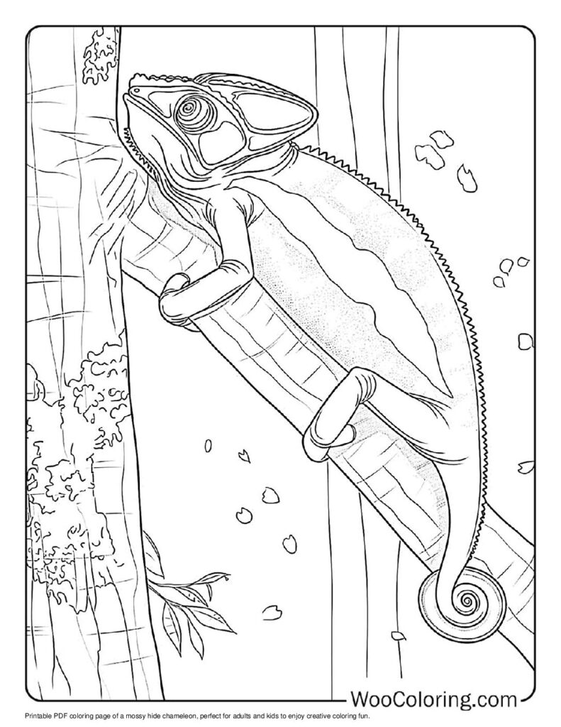 100  Chameleon coloring pages  Free PDF To Print  - 9