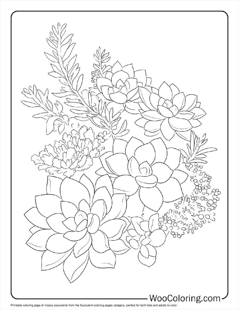 100  Succulent coloring pages  Free PDF To Print  - 68