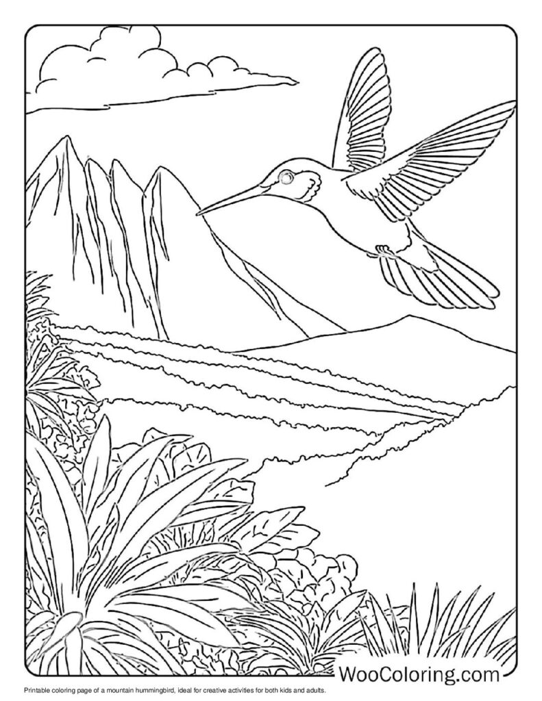 100 Hummingbird coloring pages Free PDF To Print - 55