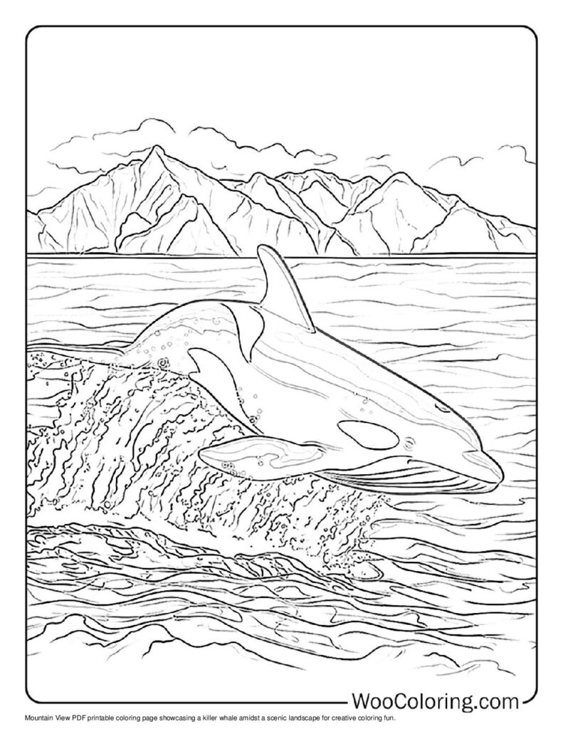 100  Killer Whale coloring pages  Free PDF To Print  - 2