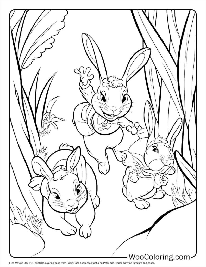 100  Peter Rabbit coloring pages  Free PDF To Print  - 96