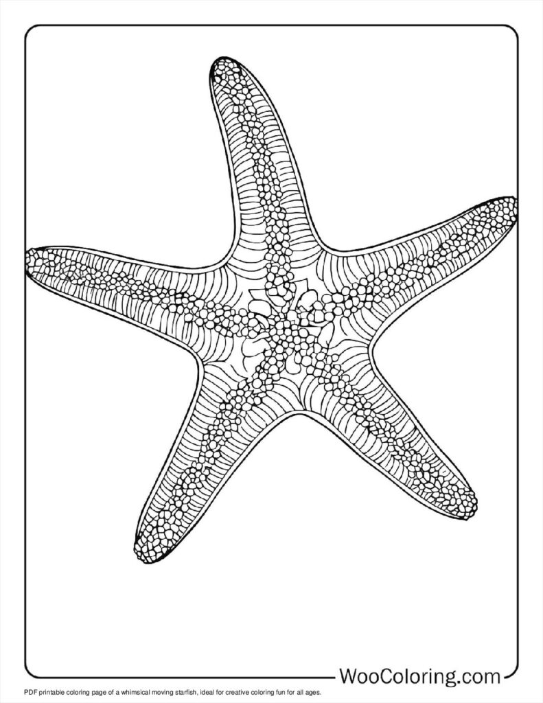 100  Starfish coloring pages  Free PDF To Print  - 86