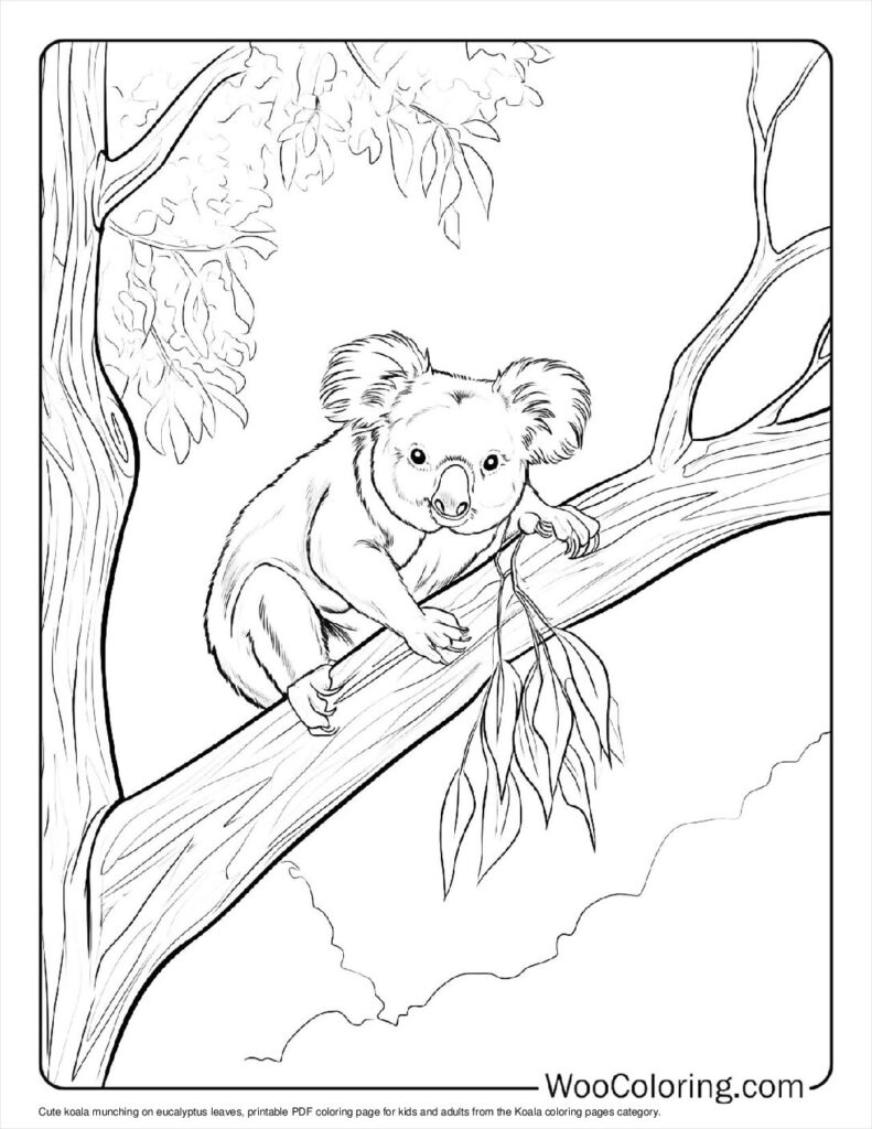100  Koala coloring pages  Free PDF To Print  - 19