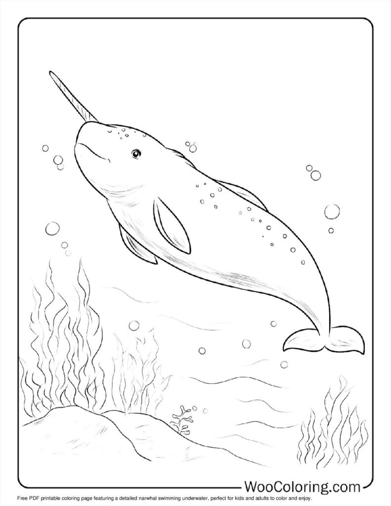 100  Narwhal coloring pages  Free PDF To Print  - 58