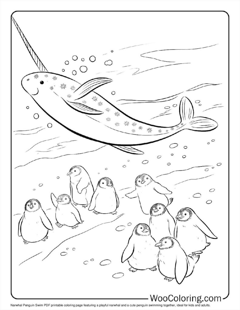 100  Narwhal coloring pages  Free PDF To Print  - 66