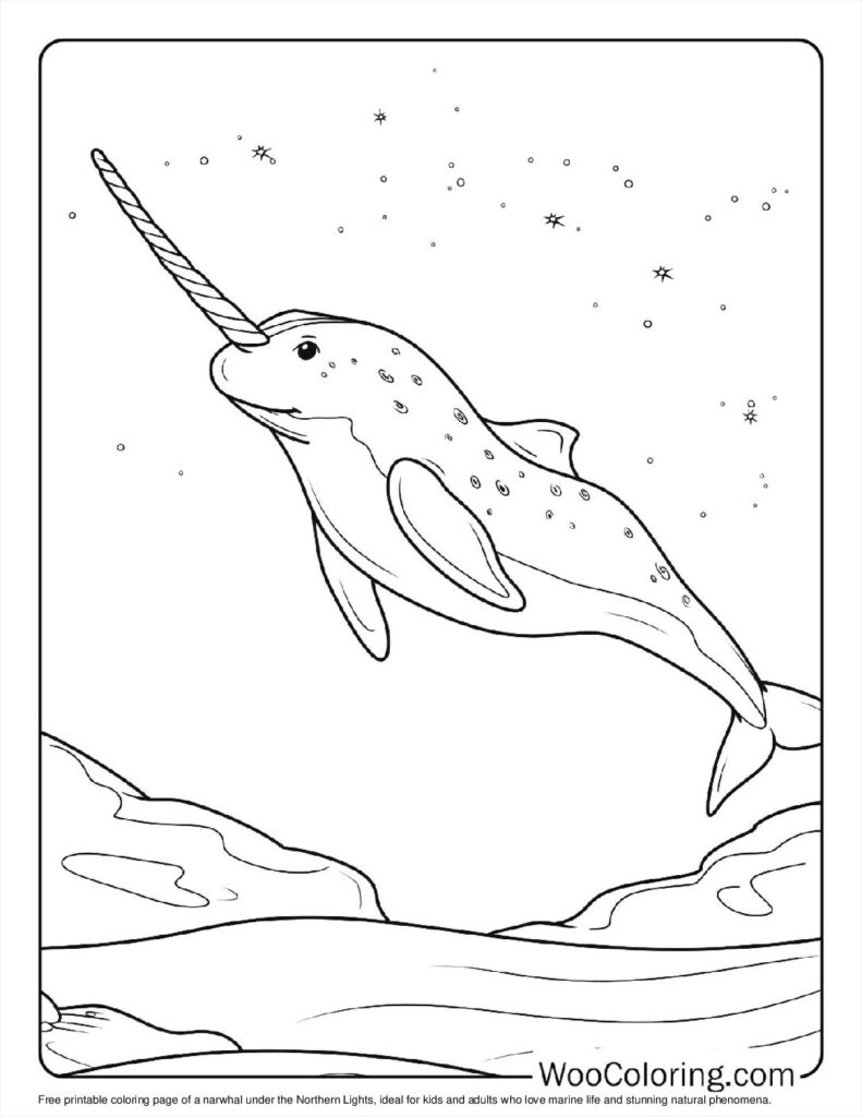 100  Narwhal coloring pages  Free PDF To Print  - 65