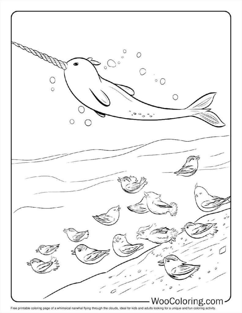 100  Narwhal coloring pages  Free PDF To Print  - 62