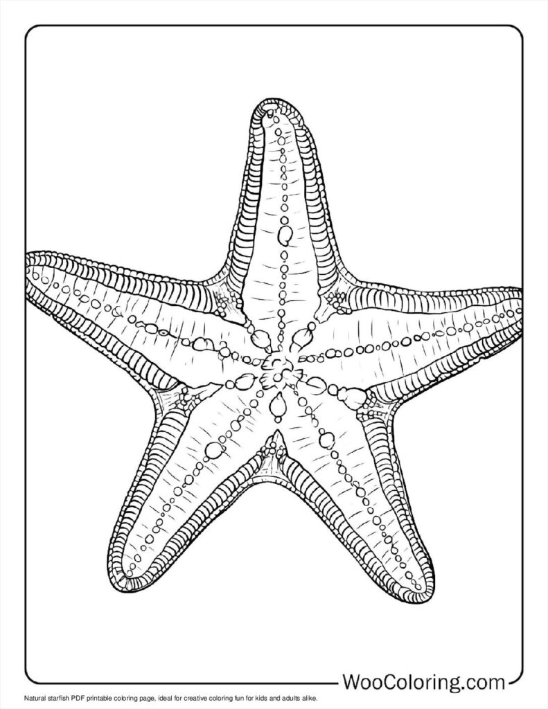 100  Starfish coloring pages  Free PDF To Print  - 44